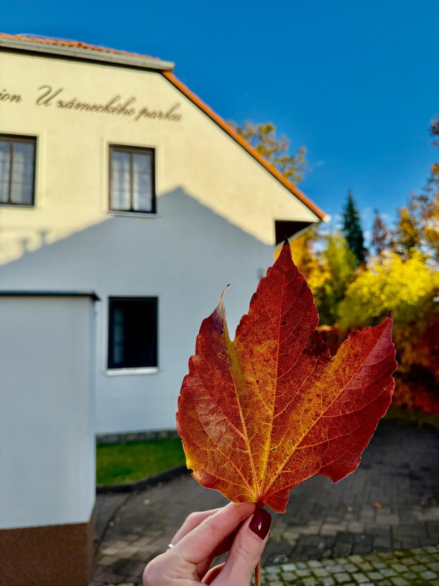 Penzion U Zameckeho Parku Třeboň Eksteriør billede